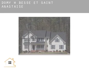 Domy w  Besse-et-Saint-Anastaise