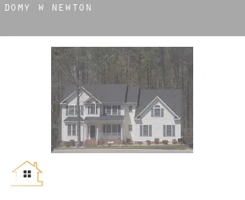 Domy w  Newton