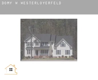 Domy w  Westerloyerfeld