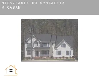 Mieszkania do wynajęcia w  Caban