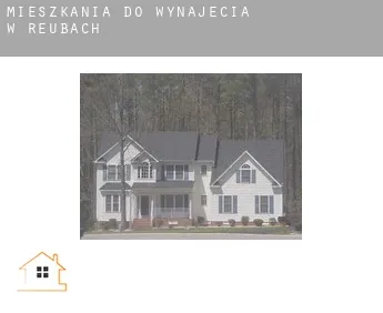 Mieszkania do wynajęcia w  Reubach