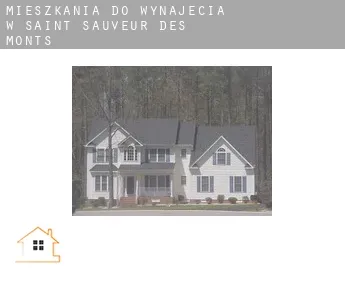 Mieszkania do wynajęcia w  Saint-Sauveur-des-Monts