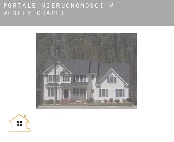 Portale nieruchomości w  Wesley Chapel