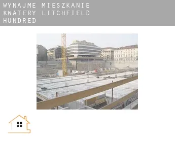 Wynajmę mieszkanie kwatery  Litchfield Hundred