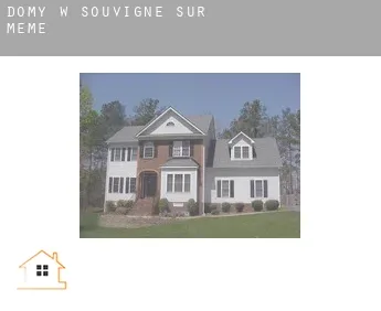 Domy w  Souvigné-sur-Même