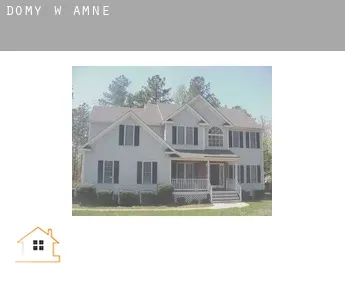 Domy w  Amné