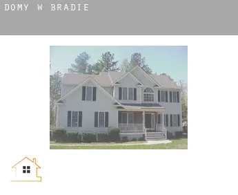Domy w  Bradie