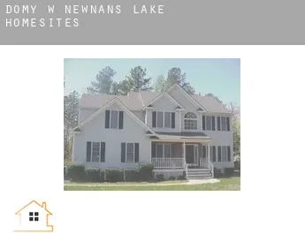 Domy w  Newnans Lake Homesites