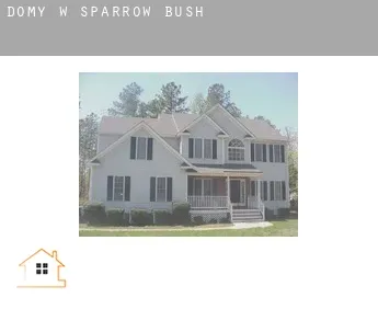 Domy w  Sparrow Bush