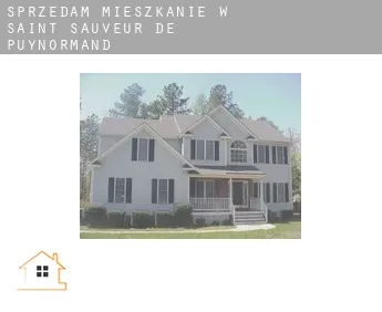 Sprzedam mieszkanie w  Saint-Sauveur-de-Puynormand