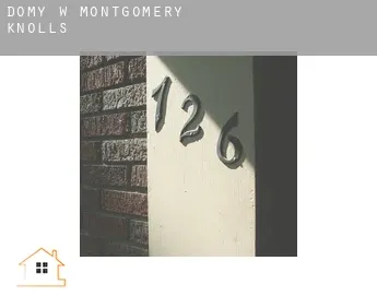 Domy w  Montgomery Knolls