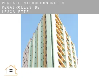 Portale nieruchomości w  Pégairolles-de-l'Escalette